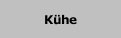 Kühe